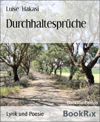 Durchhaltesprüche - Luise Hakasi - E-Book