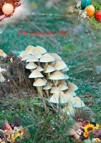 Das magische Jahr - Claudia Liath - E-Book