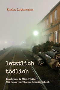 letztlich tödlich - Karla Letterman - E-Book