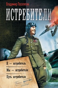 Истребители: Я – истребитель. Мы – истребители. Путь истребителя - Владимир Поселягин - E-Book