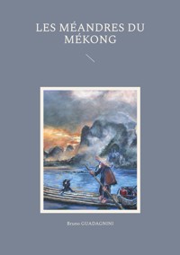 Les méandres du Mékong - Bruno Guadagnini - E-Book