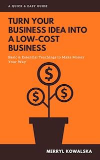 Turn Your Business Idea Into a Low-Cost Business - Merryl Kowalska - E-Book
