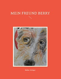 Mein Freund Berry - Baldur Airinger - E-Book