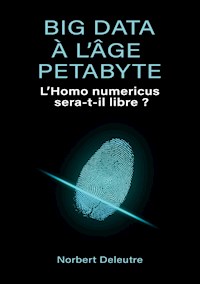 Big data à l'âge Petabyte - Norbert Deleutre - E-Book