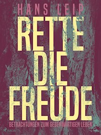 Rette die Freude - Hans Leip - E-Book