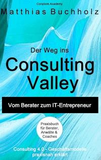 Der Weg ins Consulting Valley - Matthias Buchholz - E-Book