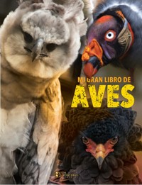 Mi gran libro de aves - Grupo Editorial Sin Fronteras - E-Book