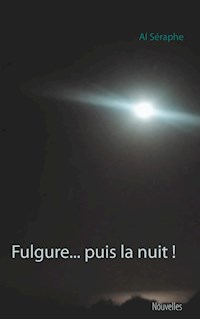 Fulgure... puis la nuit ! - Al Séraphe - E-Book