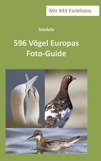 596 Vögel Europas - fotolulu - E-Book
