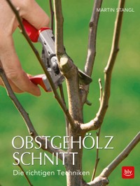 Obstgehölzschnitt - Martin Stangl - E-Book