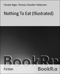 Nothing To Eat (Illustrated) - Horatio Alger - E-Book