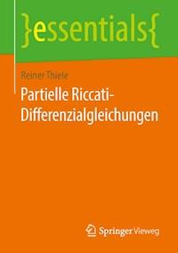 Partielle Riccati-Differenzialgleichungen - Reiner Thiele - E-Book
