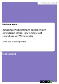 Beugungserscheinungen an beliebigen optischen Gittern. Eine Analyse auf Grundlage der Wellenoptik - Florian Kamin - E-Book