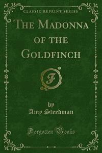 The Madonna of the Goldfinch - Amy Steedman - E-Book