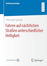 Fahren auf nächtlichen Straßen unterschiedlicher Helligkeit - Christoph Schulze - E-Book