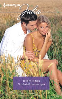 Un destello en sus ojos - Terry Essig - E-Book