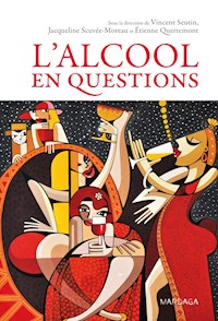 L'alcool en questions - Vincent Seutin - E-Book