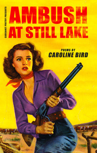 Ambush at Still Lake - Caroline Bird - E-Book
