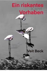 Ein riskantes Vorhaben - Veit Beck - E-Book