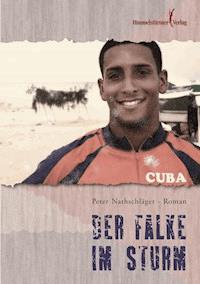 Der Falke im Sturm - Peter Nathschläger - E-Book