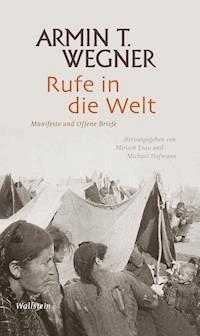 Rufe in die Welt - Armin T. Wegner - E-Book