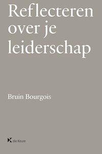 Reflecteren over je leiderschap - Bruin Bourgois - E-Book