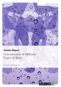 Corrosiveness of Different Types of Water - Ataliba Miguel - E-Book