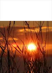 Tolle Wandertipps im Harz - Sonja Moritz - E-Book