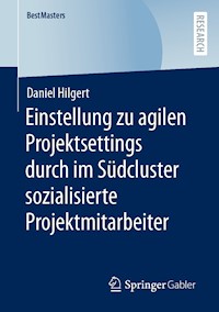 Einstellung zu agilen Projektsettings durch im Südcluster sozialisierte Projektmitarbeiter - Daniel Hilgert - E-Book