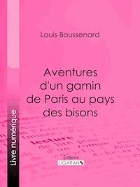 Aventures d'un gamin de Paris au pays des bisons - Louis Boussenard - E-Book