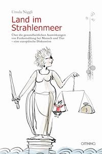 Land im Strahlenmeer - Ursula Niggli - E-Book
