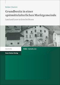 Grundbesitz in einer spätmittelalterlichen Marktgemeinde - Volker Stamm - E-Book