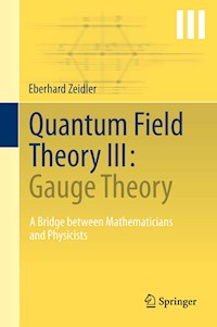 Quantum Field Theory III: Gauge Theory - Eberhard Zeidler - E-Book