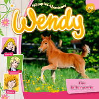 Wendy, Folge 80: Die Influencerin - Stephan Gürtler - Hörbuch