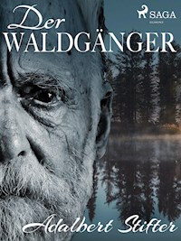 Der Waldgänger - Adalbert  Stifter - E-Book