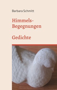 Himmels-Begegnungen - Barbara Schmitt - E-Book