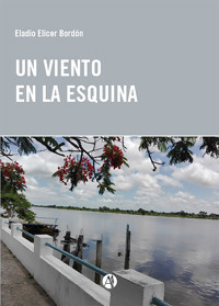 Un viento en la esquina - Eladio Elicer Bordón - E-Book