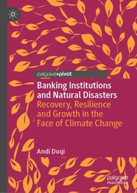 Banking Institutions and Natural Disasters - Andi Duqi - E-Book