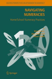 Navigating Numeracies - Brian V. Street - E-Book