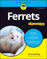 Ferrets For Dummies - Kim Schilling - E-Book