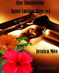The Encaisseur - Jessica Mée - E-Book