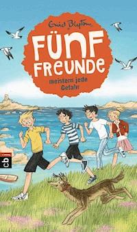 Fünf Freunde meistern jede Gefahr - Enid Blyton - E-Book