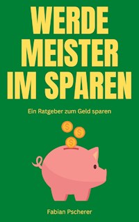 Werde Meister im Sparen - Fabian Pscherer - E-Book