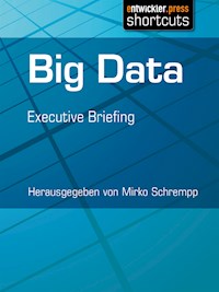 Big Data -  - E-Book