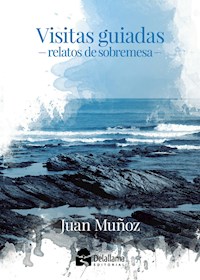 Visitas guiadas - Juan Muñoz - E-Book