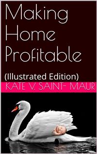 Making Home Profitable - Kate V. Saint - E-Book