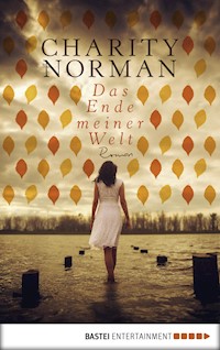 Das Ende meiner Welt - Charity Norman - E-Book