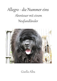 Allegro - die Nummer eins - Gisella Alba - E-Book