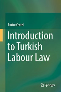Introduction to Turkish Labour Law - Tankut Centel - E-Book