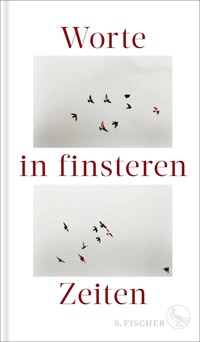 Worte in finsteren Zeiten -  - E-Book